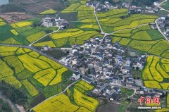 皖南黟县以花为媒激活春日发展新动